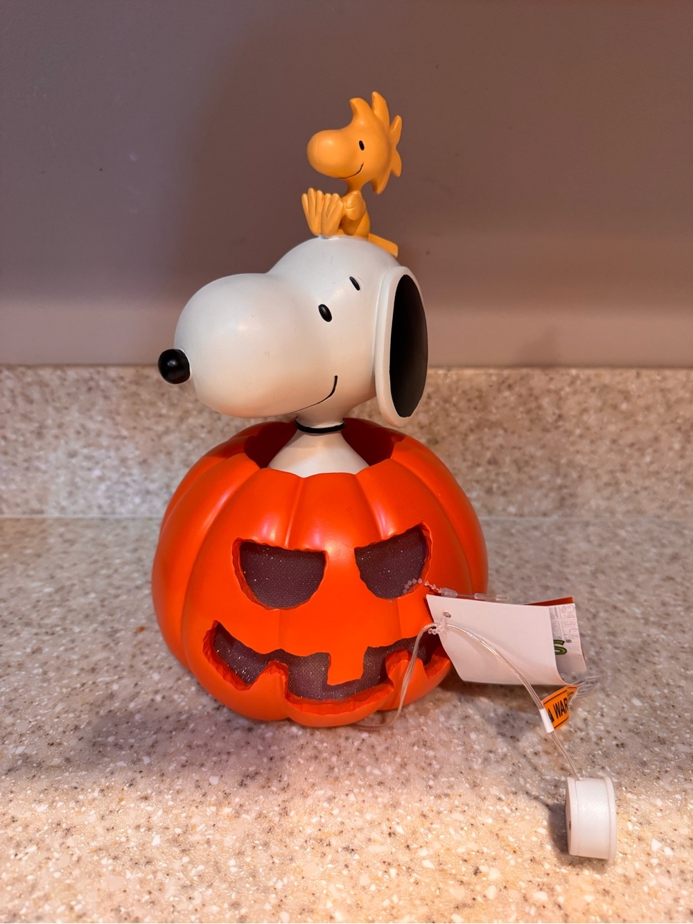 Peanuts Snoopy & Woodstock Pumpkin Halloween Light Up Decor 9” Tall